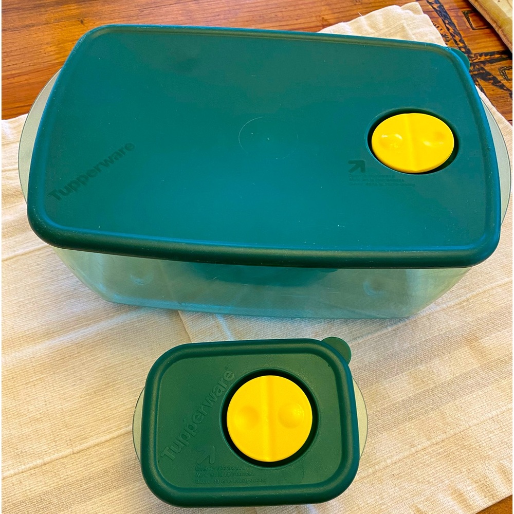 Vint Tupperware Rock N Serve Green LG/SM Rectangular